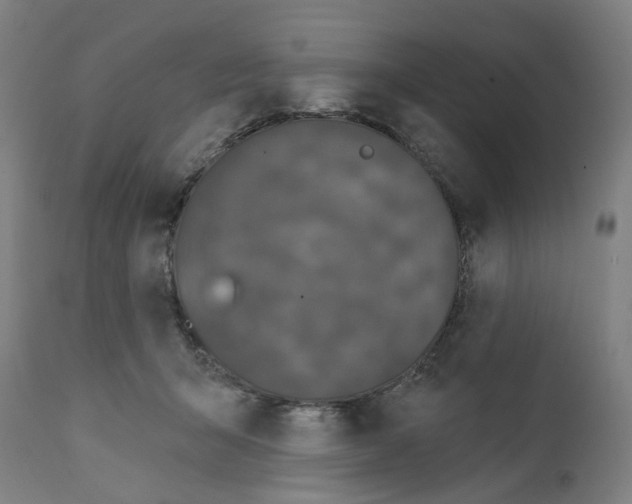 X0000112360415200909241131