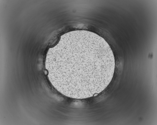 X0000112360416200909241131