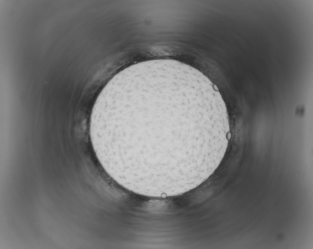 X0000112360418200909241131