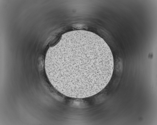 X0000112360420200909241131