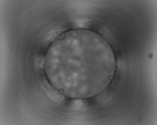 X0000112360423200909241131