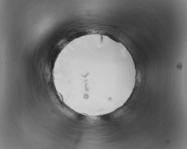 X0000112360429200909241131