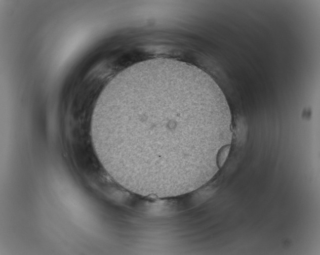 X0000112360430200909241131