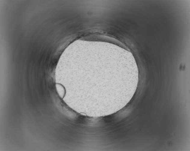 X0000112360432200909241131