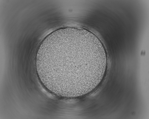X0000112360433200909241130