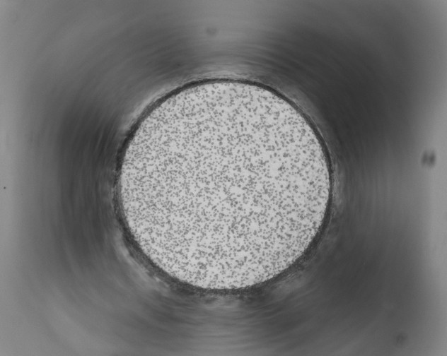 X0000112360434200909241130
