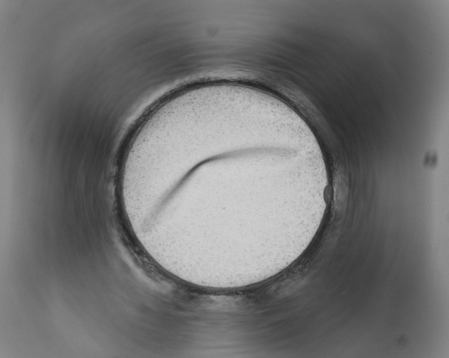 X0000112360436200909241130