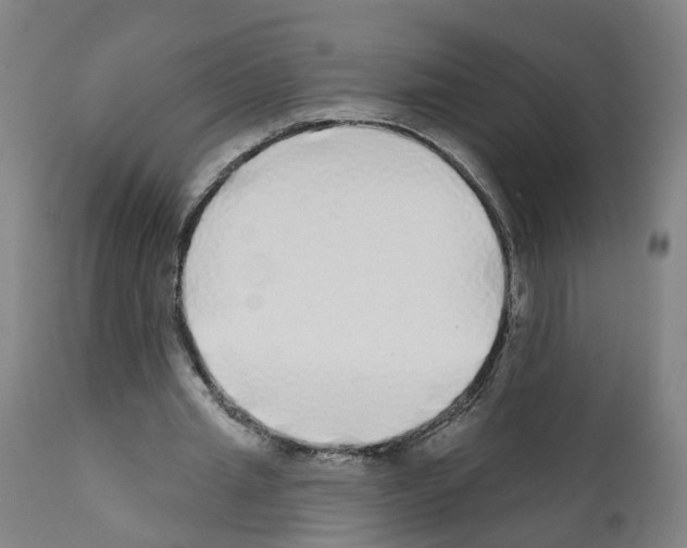 X0000112360437200909241130