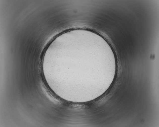 X0000112360439200909241130