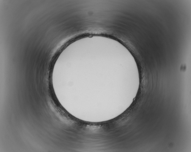 X0000112360440200909241130