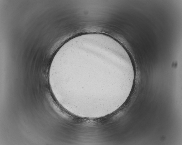 X0000112360441200909241130
