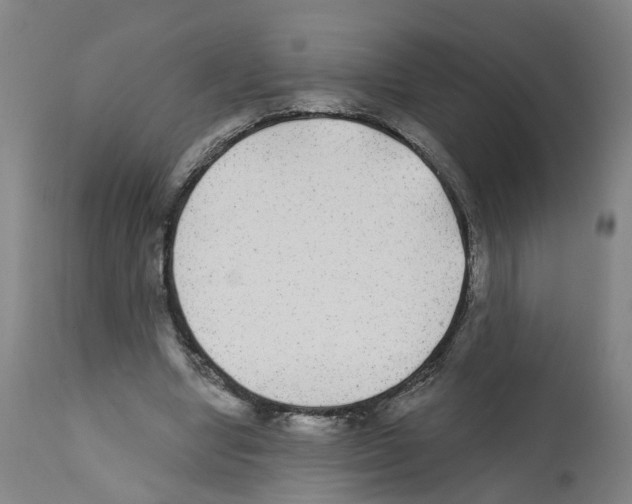X0000112360442200909241130