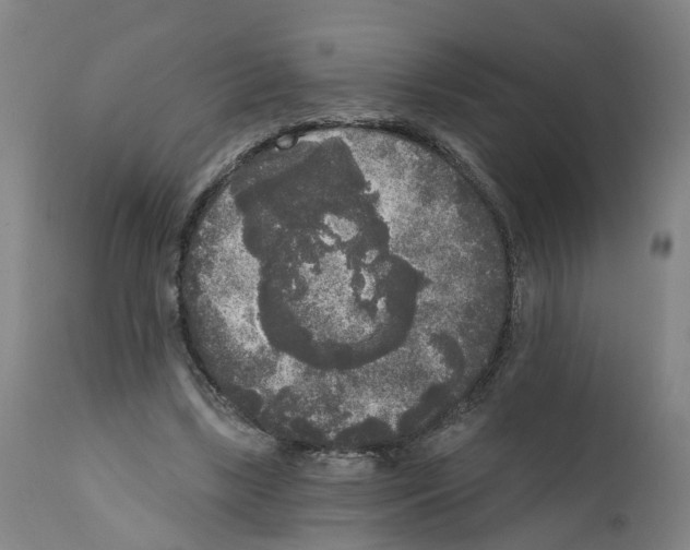 X0000112360443200909241130