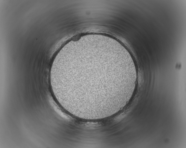 X0000112360445200909241130