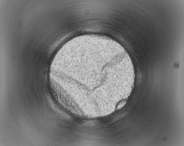 X0000112360446200909241130