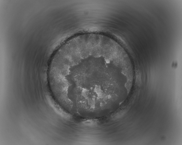 X0000112360447200909241130
