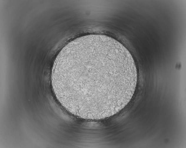 X0000112360449200909241130