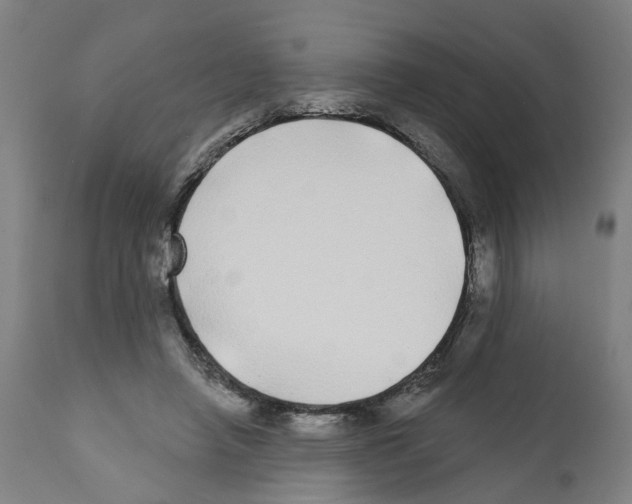 X0000112360450200909241130