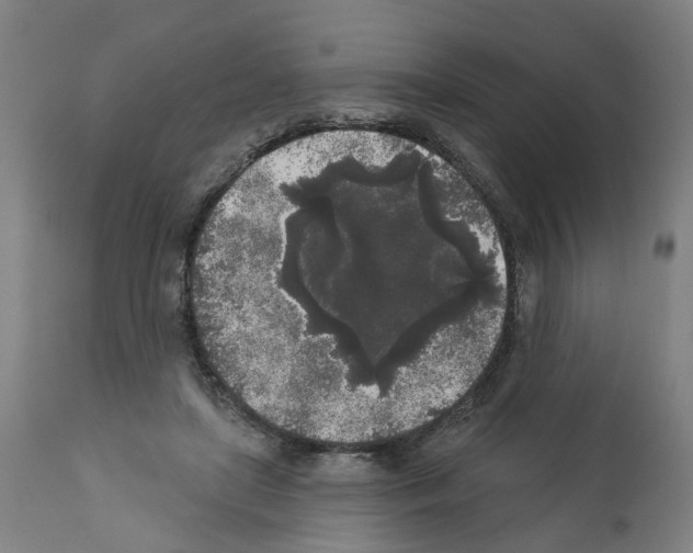 X0000112360451200909241130