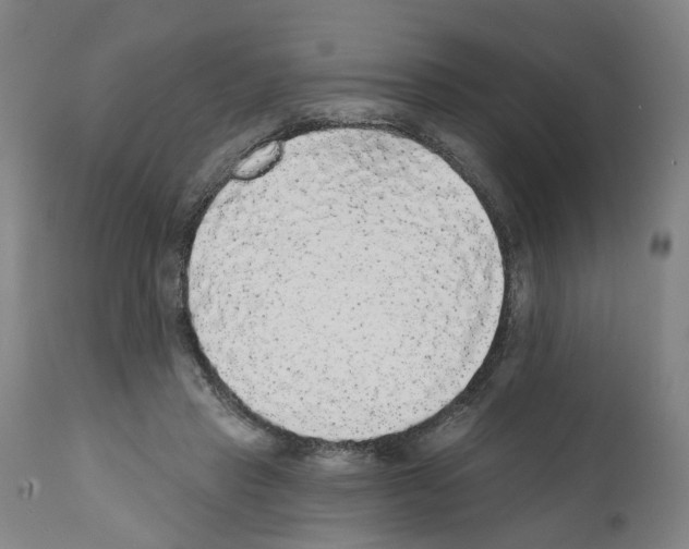 X0000112360453200909241130