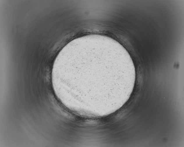 X0000112360457200909241130