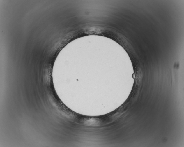 X0000112360460200909241130