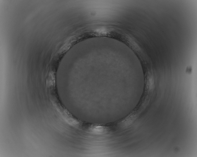 X0000112360467200909241130