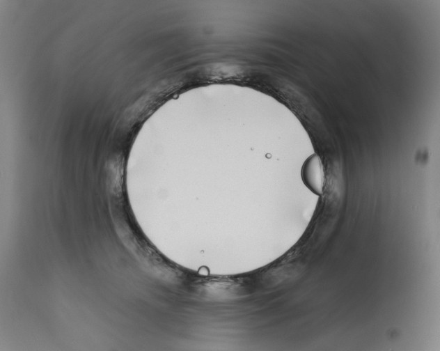 X0000112360468200909241130