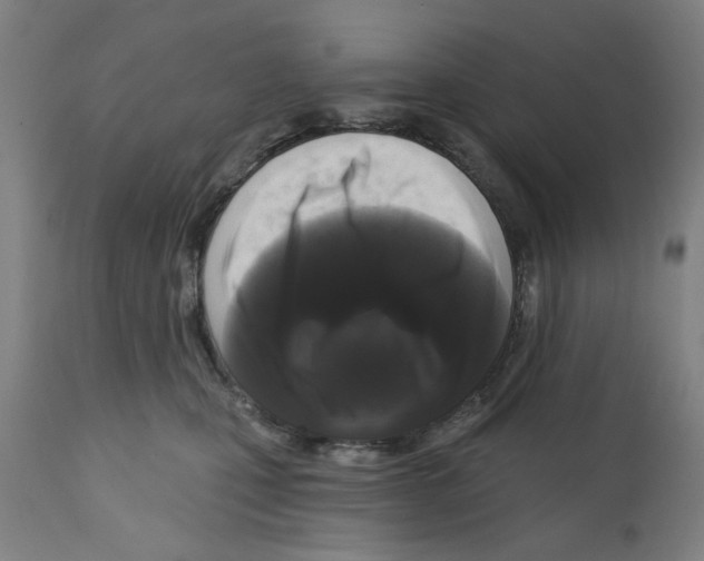 X0000112360471200909241130
