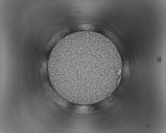 X0000112360473200909241130