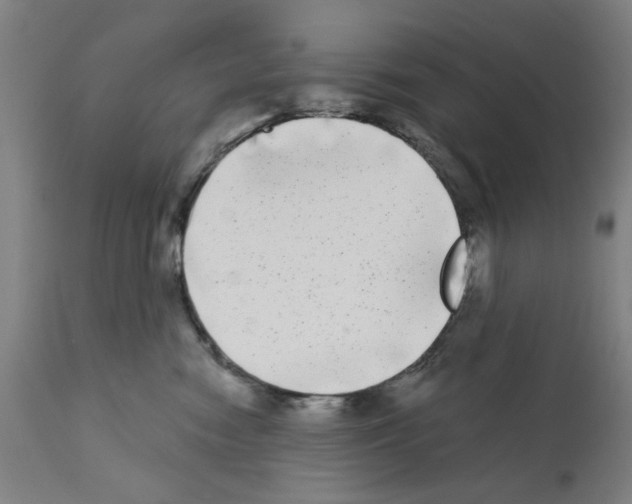 X0000112360474200909241130