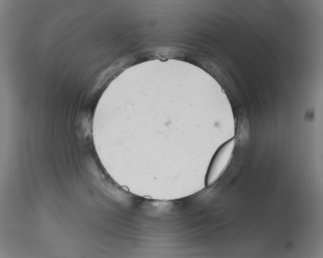 X0000112360478200909241130