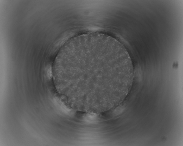 X0000112360479200909241130