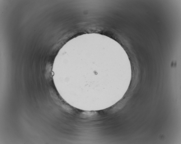 X0000112360480200909241130