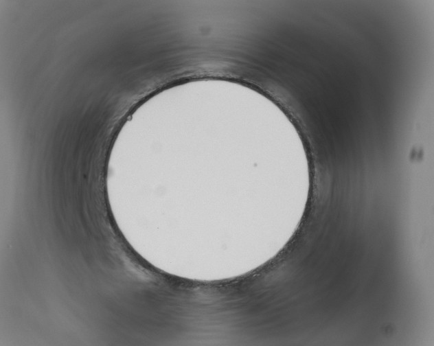 X0000112360481200909241129