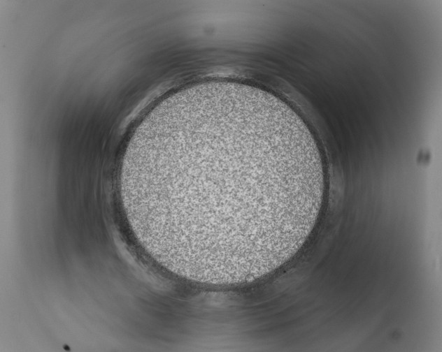 X0000112360482200909241129