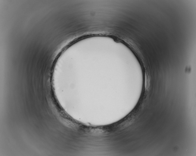 X0000112360483200909241129
