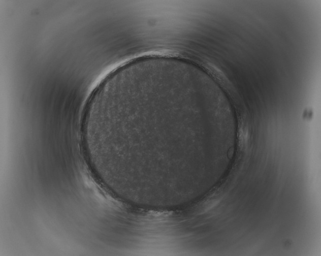 X0000112360484200909241129