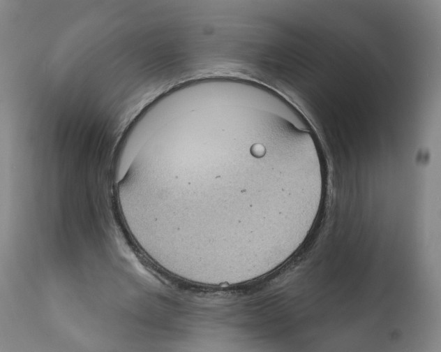 X0000112360485200909241129