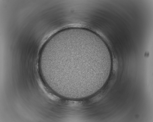 X0000112360486200909241129