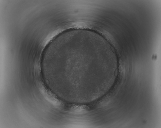 X0000112360488200909241129