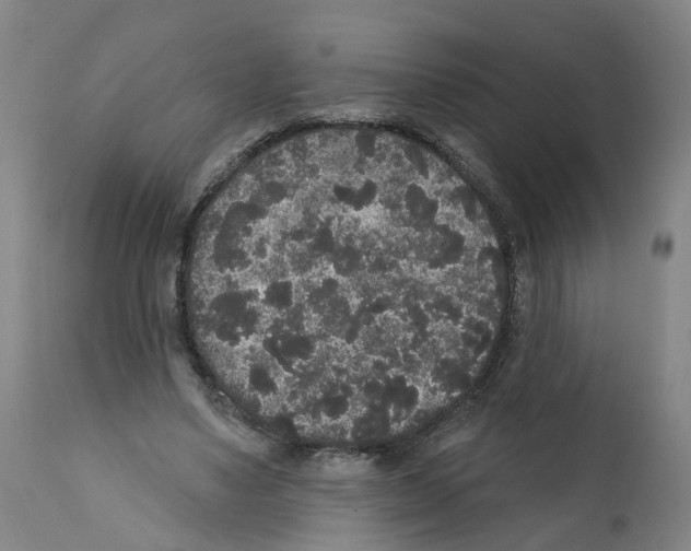 X0000112360491200909241129