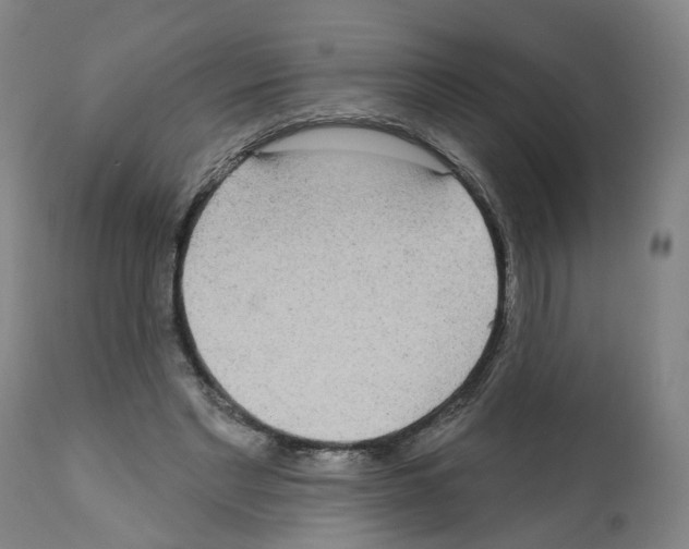 X0000112360493200909241129