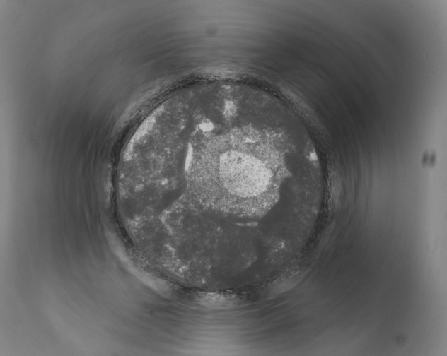 X0000112360494200909241129