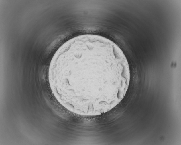 X0000112360495200909241129