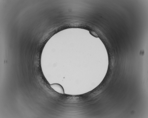 X0000112360497200909241129