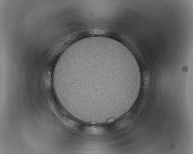 X0000112360498200909241129
