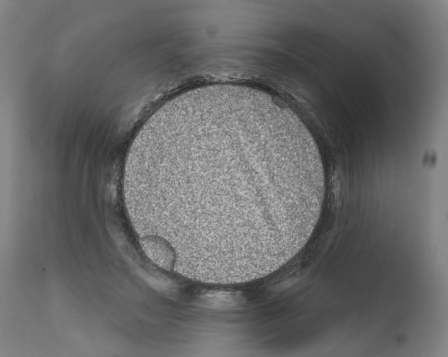X0000112360499200909241129