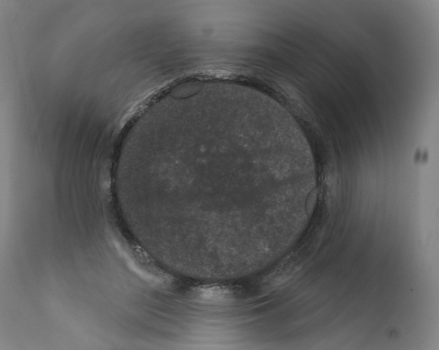 X0000112360500200909241129