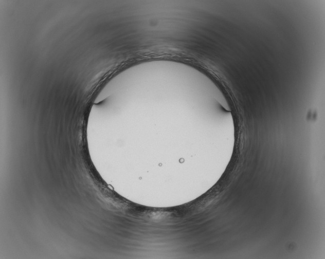 X0000112360501200909241129